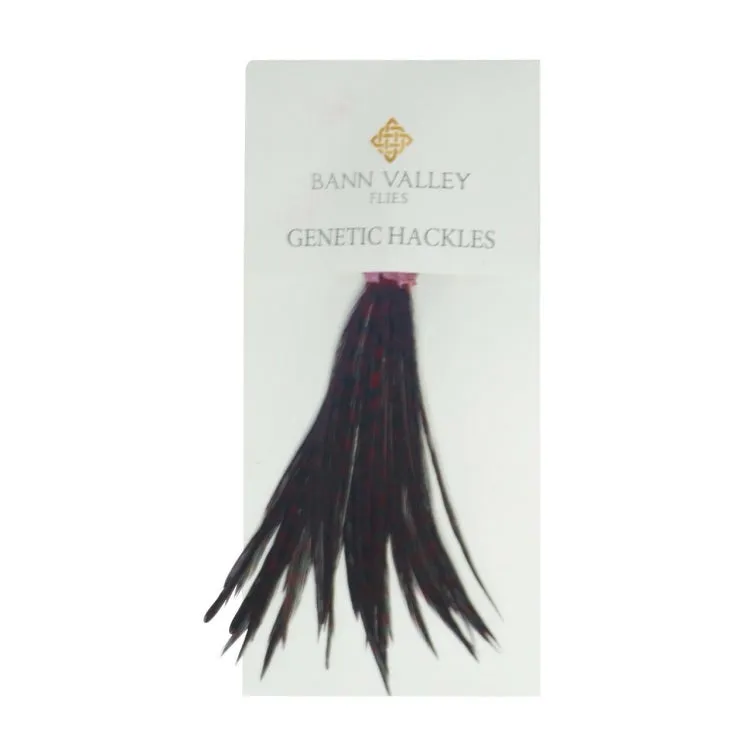 Bann Valley Metz Genetic Hackles - Small (16-10)