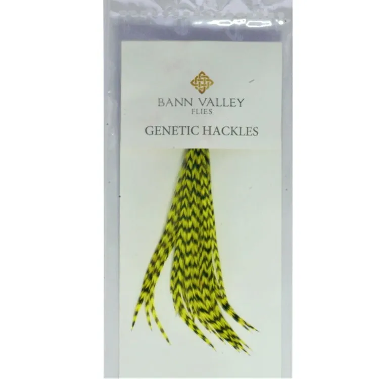 Bann Valley Metz Genetic Hackles - Small (16-10)