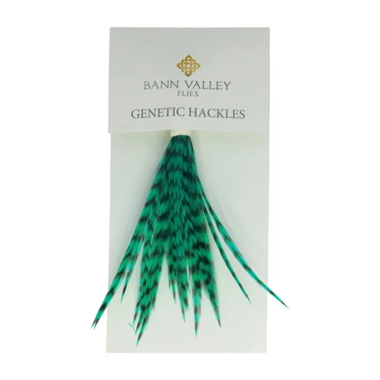 Bann Valley Metz Genetic Hackles - Small (16-10)