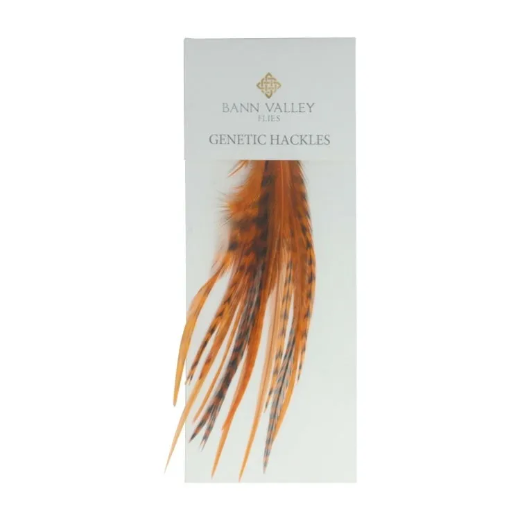 Bann Valley Metz Genetic Hackles - Small (16-10)