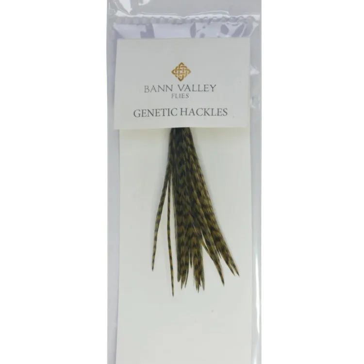 Bann Valley Metz Genetic Hackles - Small (16-10)