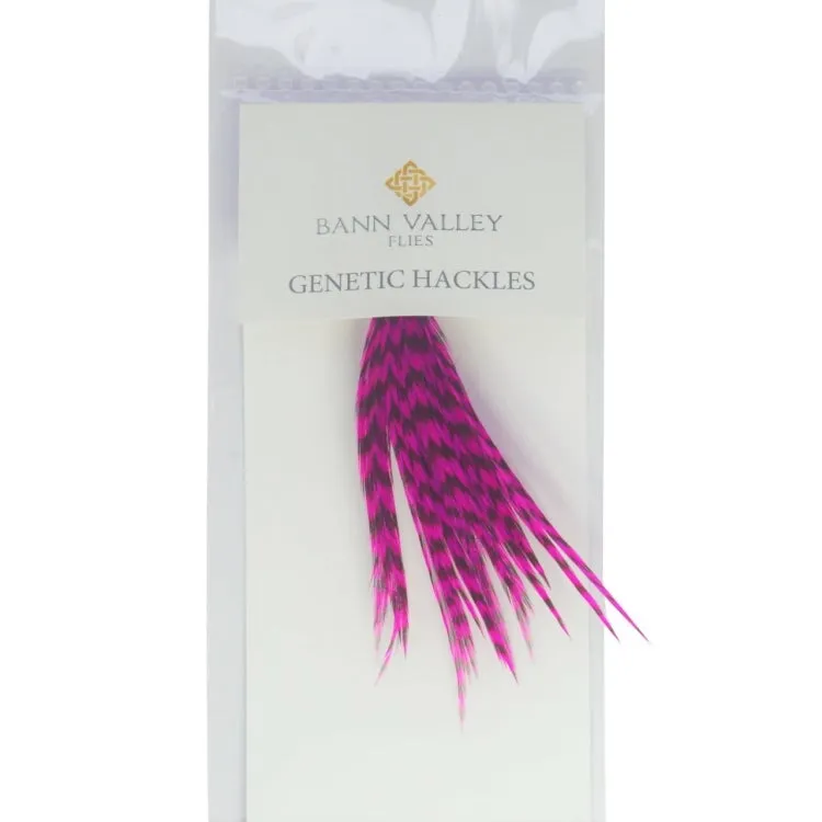 Bann Valley Metz Genetic Hackles - Small (16-10)