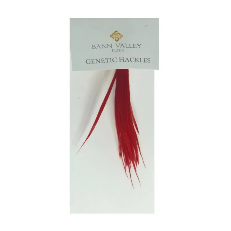 Bann Valley Metz Genetic Hackles - Small (16-10)