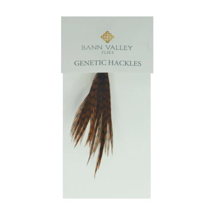 Bann Valley Metz Genetic Hackles - Small (16-10)