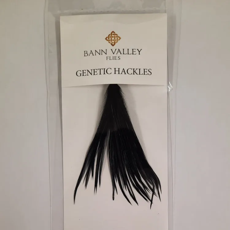 Bann Valley Metz Genetic Hackles - Small (16-10)