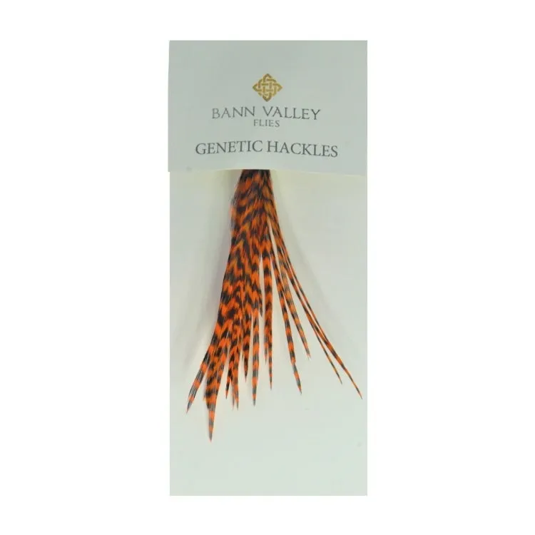 Bann Valley Metz Genetic Hackles - Small (16-10)
