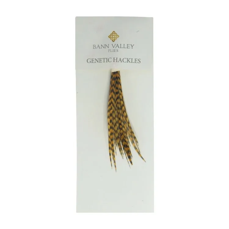 Bann Valley Metz Genetic Hackles - Small (16-10)