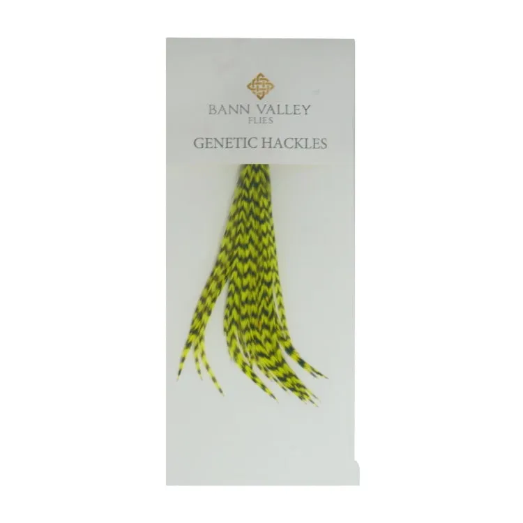 Bann Valley Metz Genetic Hackles - Small (16-10)