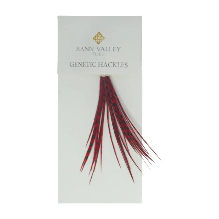 Bann Valley Metz Genetic Hackles - Small (16-10)