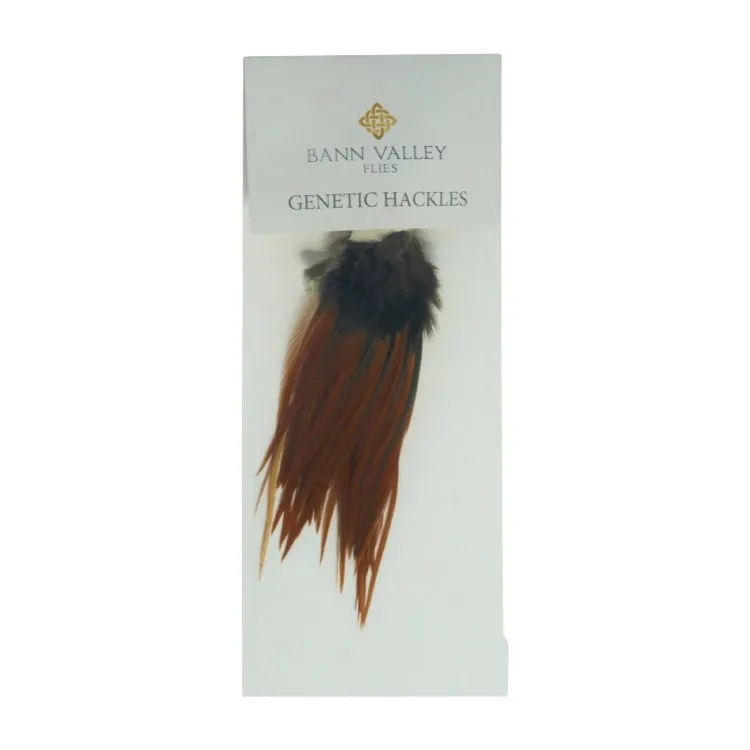 Bann Valley Metz Genetic Hackles - Small (16-10)