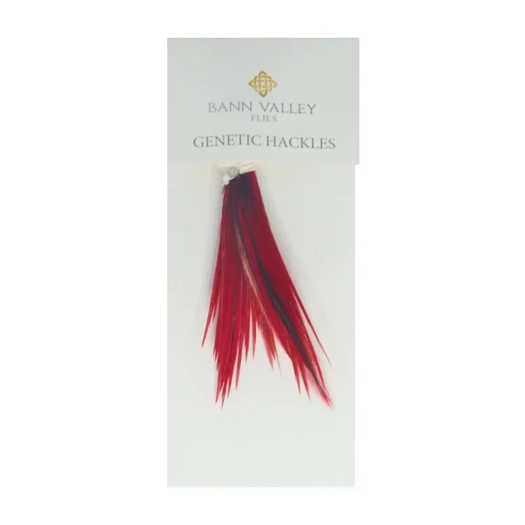 Bann Valley Metz Genetic Hackles - Small (16-10)