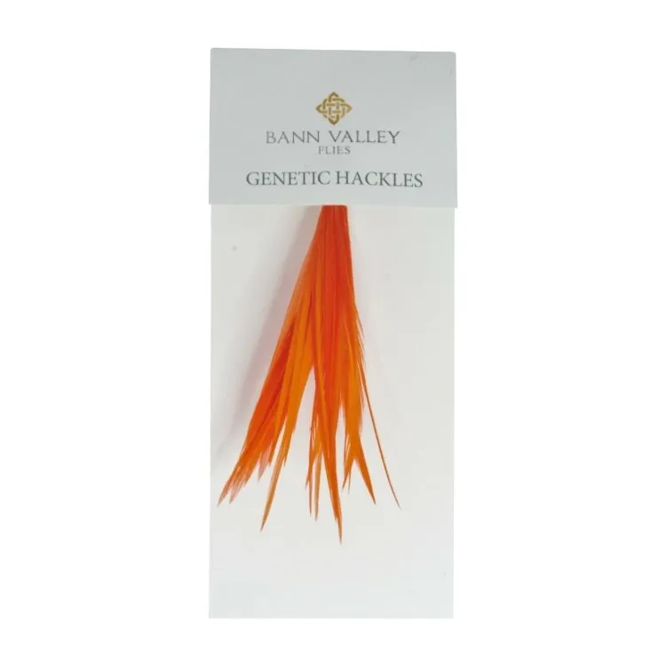 Bann Valley Metz Genetic Hackles - Small (16-10)