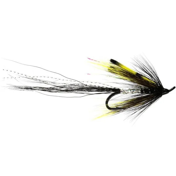 Black Allys Shrimp