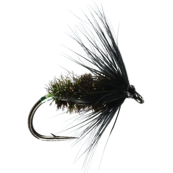 Black and Peacock Wet
