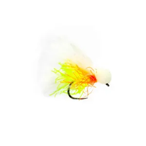 Cut Throat Cats Whisker Booby
