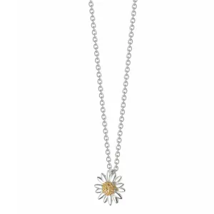 Daisy London English Daisy Necklace 10MM N2001