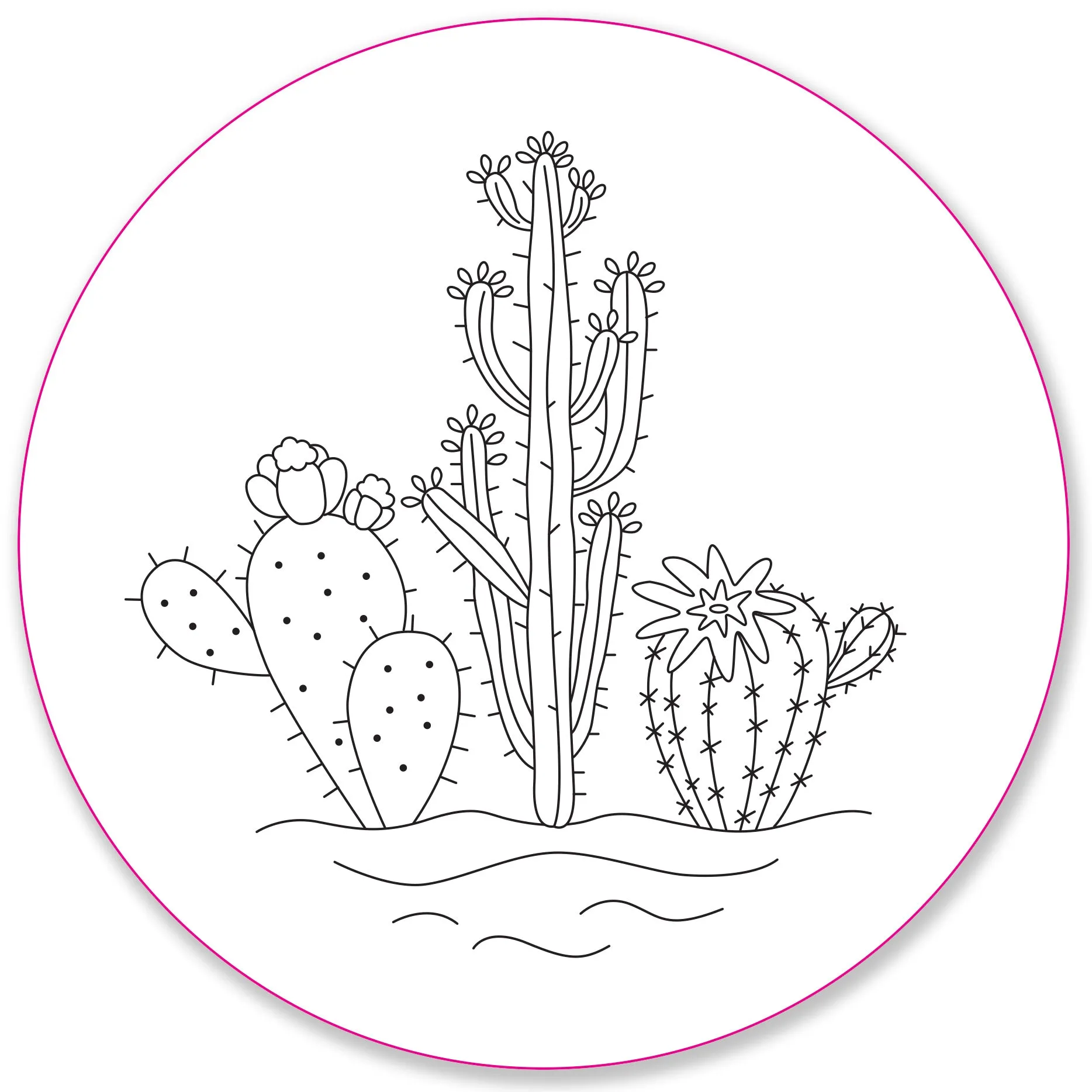 Embroidery Pattern Transfers - Set of 10 Blooms & Succulents