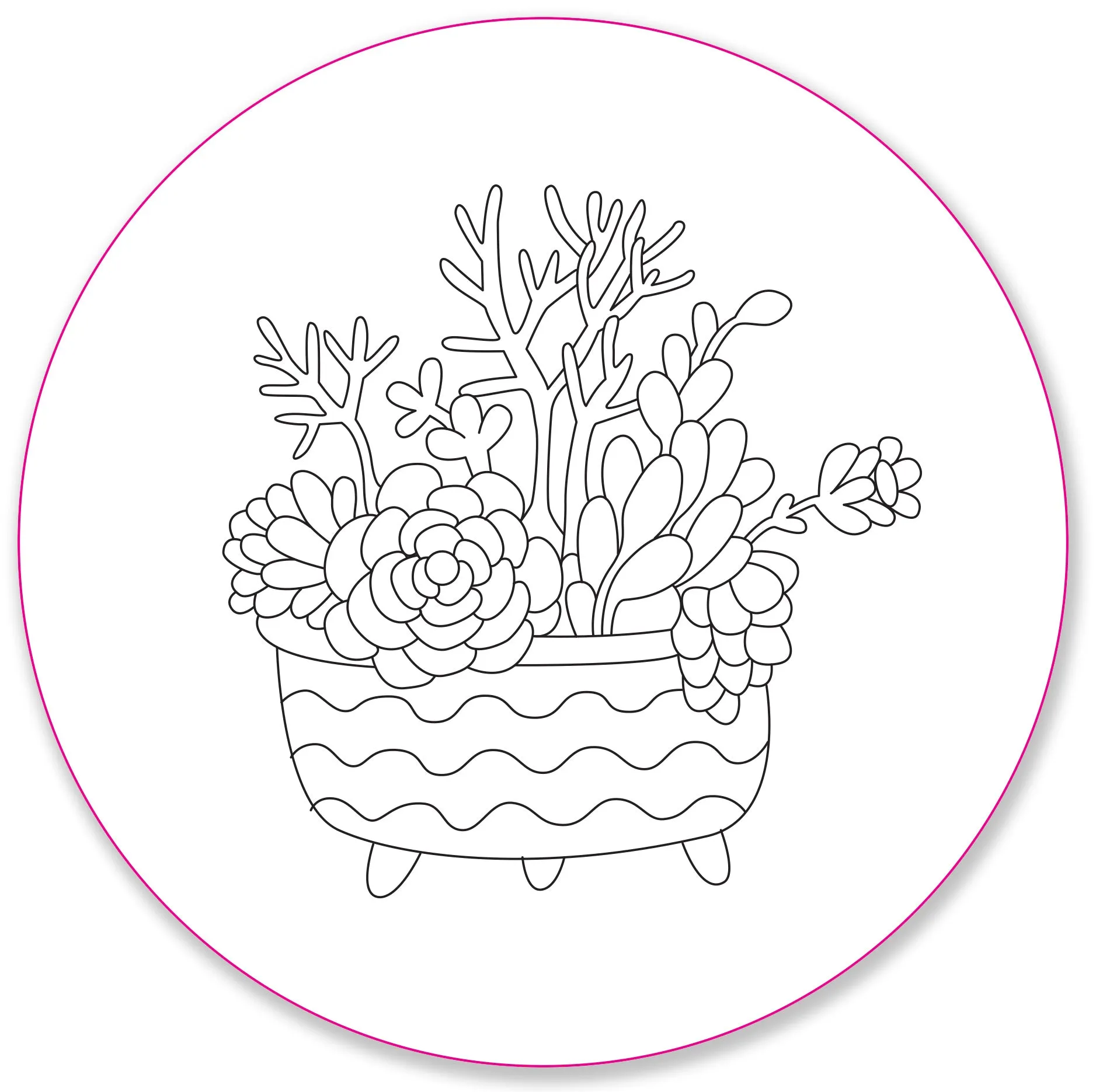 Embroidery Pattern Transfers - Set of 10 Blooms & Succulents