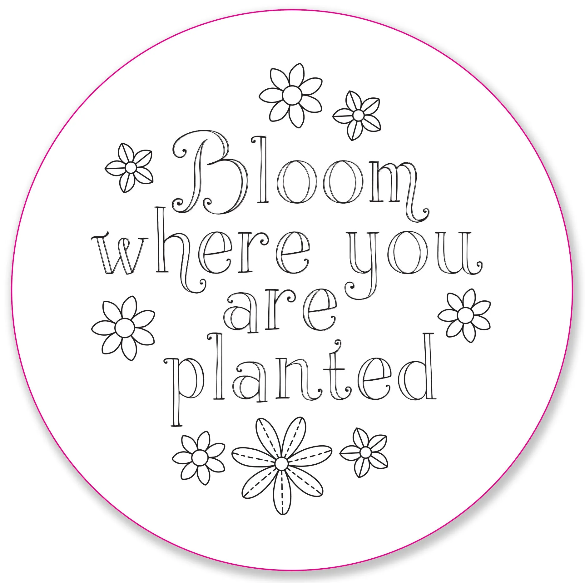 Embroidery Pattern Transfers - Set of 10 Blooms & Succulents