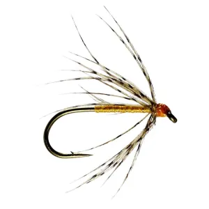 Partridge and Orange Spider