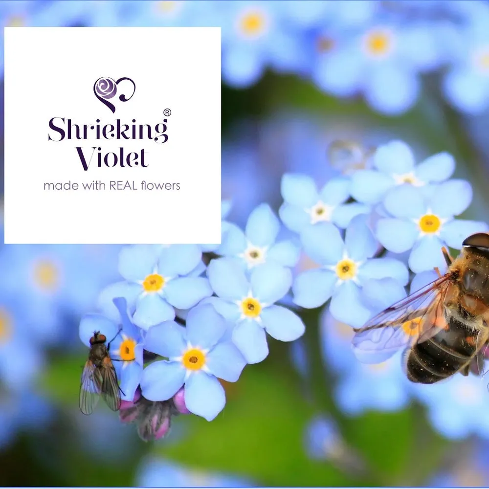 Shrieking Violet Real Flower Stud Earrings ME21