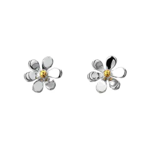 Silver Origins Summer Daisy Stud Earrings