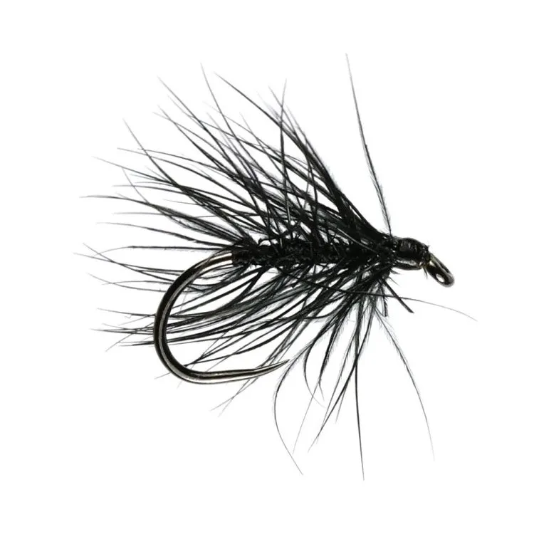 Stu's Black Spider