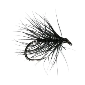 Stu's Black Spider